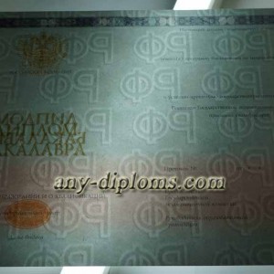 Диплом бакалавра 2014-2017 год