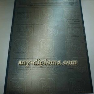 Диплом бакалавра 1997-2003 год