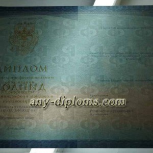 Диплом среднее профессиональное образование 2014-2017 год