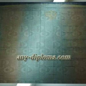 Диплом среднее профессиональное образование 2014-2017 год