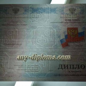 Диплом среднее профессиональное образование 2011-2013 год
