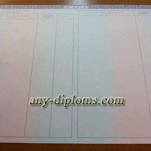 Диплом специалиста 2014-2017 год (Москва)