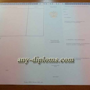Диплом бакалавра 2014-2017 год