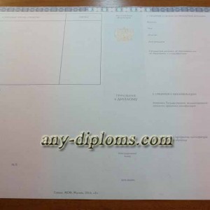 Диплом магистра 2014-2017 год