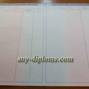 Диплом магистра 2014-2017 год (Москва)