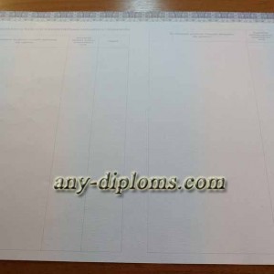 Диплом специалиста 2014-2017 год (Киржач)