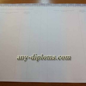 Диплом магистра 2014-2017 год (Киржач)