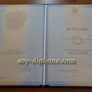 Диплом бакалавра 2004-2010 год