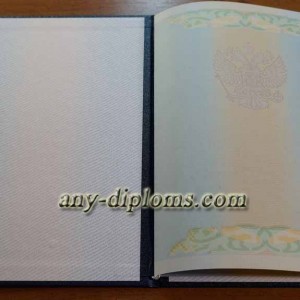 Диплом магистра 2004-2010 год