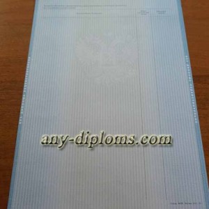 Диплом бакалавра 2011-2013 год