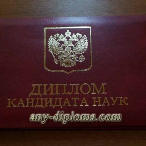 Диплом кандидата наук 2010 год