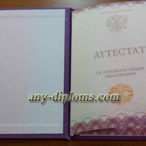 Аттестат об основном общем образовании 2014 год