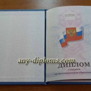 Диплом среднее профессиональное образование 2011-2013 год