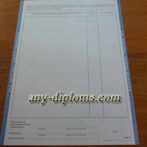 Диплом среднее профессиональное образование 2011-2013 год