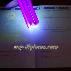Диплом специалиста 2014-2017 год (Москва)