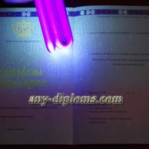 Диплом бакалавра 2014-2017 год (Москва)