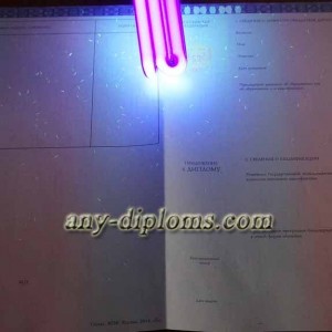 Диплом бакалавра 2014-2017 год (Москва)