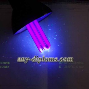 Диплом специалиста 2014-2017 год (Киржач)