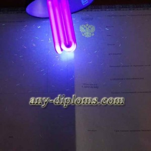 Диплом бакалавра 2014-2017 год (Киржач)