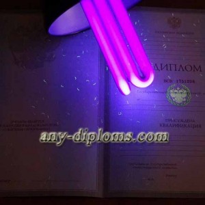 Диплом специалиста 1997-2003 год