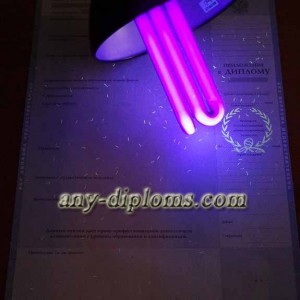 Диплом специалиста 1997-2003 год