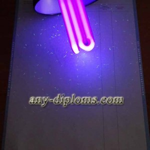 Диплом специалиста 1997-2003 год