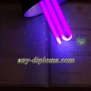 Диплом бакалавра 1997-2003 год