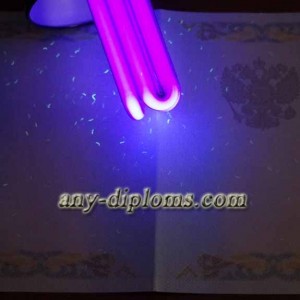 Диплом бакалавра 1997-2003 год