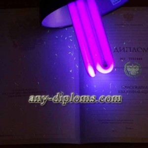 Диплом специалиста 2004-2010 год