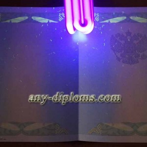 Диплом специалиста 2004-2010 год