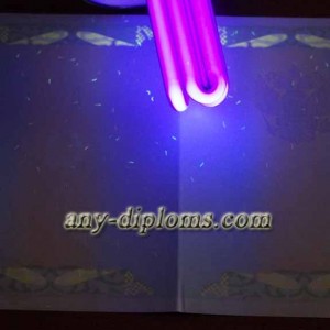 Диплом магистра 2004-2010 год