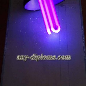 Диплом магистра 2004-2010 год