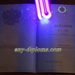 Диплом специалиста 2011-2013 год