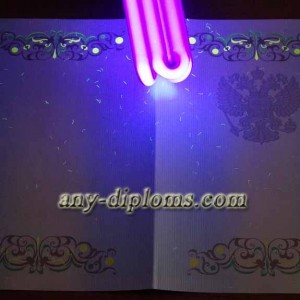 Диплом специалиста 2011-2013 год