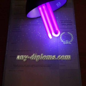 Диплом специалиста 2011-2013 год