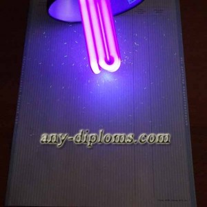 Диплом специалиста 2011-2013 год