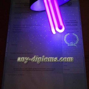 Диплом бакалавра 2011-2013 год