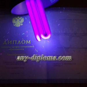 Диплом среднее профессиональное образование 2014-2017 год