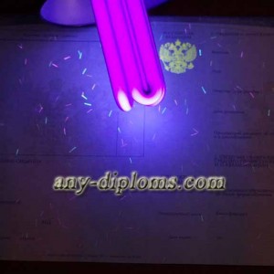 Диплом среднее профессиональное образование 2014-2017 год