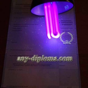 Диплом специалиста 1996 год