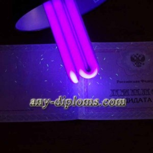 Диплом кандидата наук 2010 год