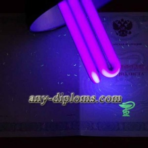 Сертификат специалиста