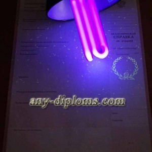 Академическая справка