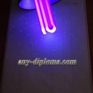 Академическая справка