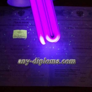 Диплом среднее профессиональное образование 2011-2013 год