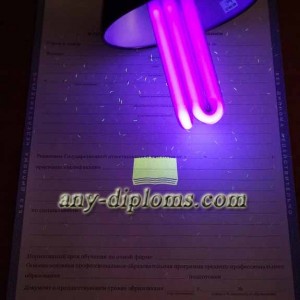 Диплом среднее профессиональное образование 2011-2013 год