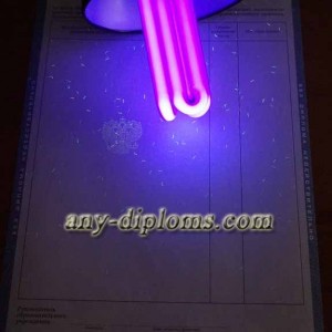 Диплом среднее профессиональное образование 2011-2013 год