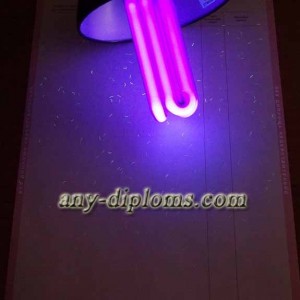 Диплом среднее профессиональное образование 2002 год