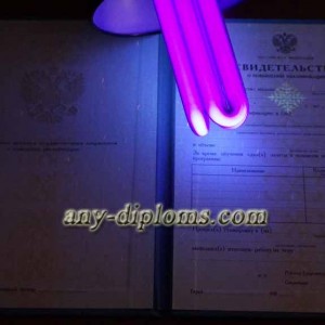 Свидетельство о повышении квалификации