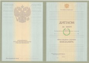 Диплом бакалавра 2004-2009 г.